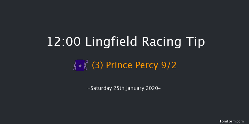 Lingfield 12:00 Handicap (Class 6) 10f Fri 24th Jan 2020