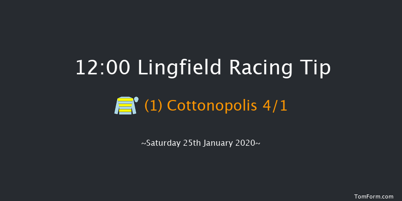 Lingfield 12:00 Handicap (Class 6) 10f Fri 24th Jan 2020