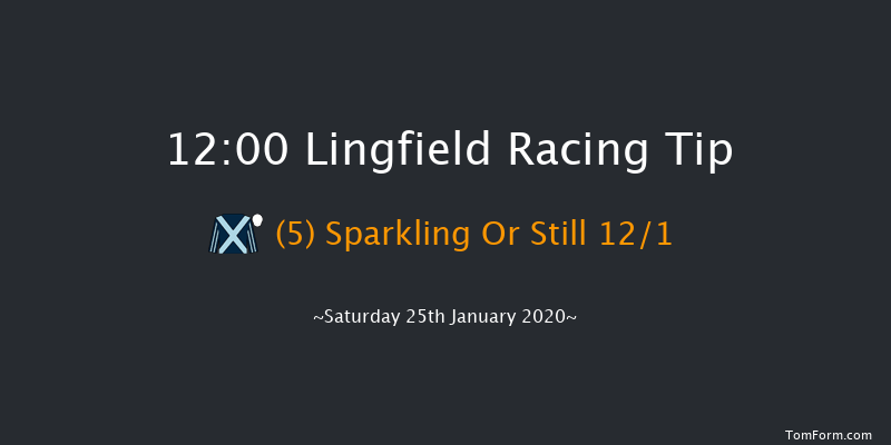 Lingfield 12:00 Handicap (Class 6) 10f Fri 24th Jan 2020