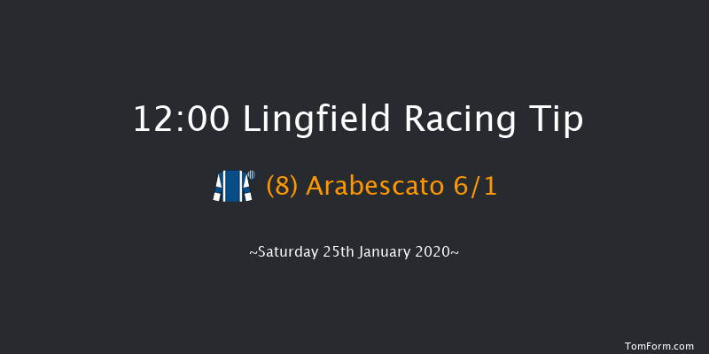 Lingfield 12:00 Handicap (Class 6) 10f Fri 24th Jan 2020
