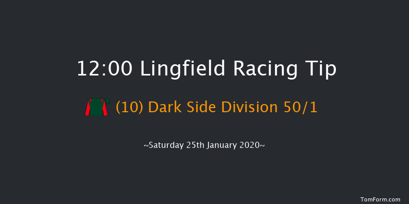 Lingfield 12:00 Handicap (Class 6) 10f Fri 24th Jan 2020