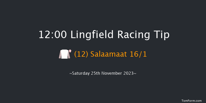 Lingfield 12:00 Maiden (Class 5) 6f Tue 21st Nov 2023
