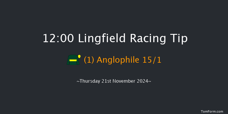 Lingfield  12:00 Maiden (Class 4) 10f Tue 19th Nov 2024