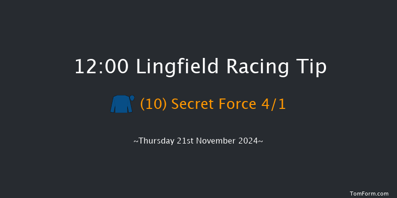 Lingfield  12:00 Maiden (Class 4) 10f Tue 19th Nov 2024