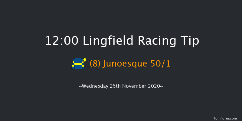 Play 4 To Win At Betway Handicap Lingfield 12:00 Handicap (Class 6) 10f Tue 24th Nov 2020