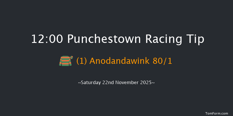 Punchestown 12:00 19f Thu 13th Nov 2025
