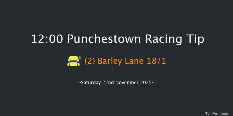 Punchestown 12:00 19f Thu 13th Nov 2025