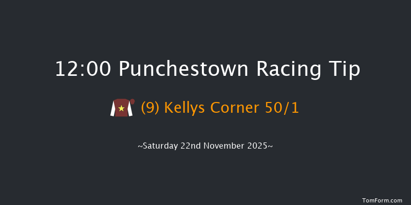 Punchestown 12:00 19f Thu 13th Nov 2025