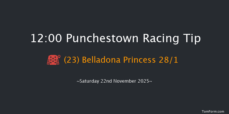 Punchestown 12:00 19f Thu 13th Nov 2025