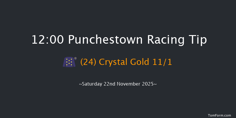 Punchestown 12:00 19f Thu 13th Nov 2025