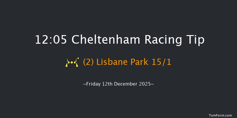 Cheltenham 12:05 (Class 2) 16f Sun 16th Nov 2025