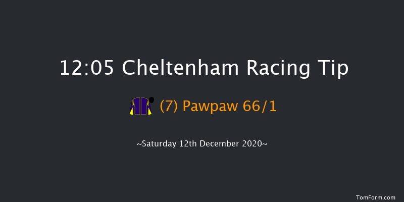 Jcb Triumph Trial Juvenile Hurdle (Novices' Championship Hurdle Series Qualifier) (GBB Race) Cheltenham 12:05 Conditions Hurdle (Class 2) 17f Fri 11th Dec 2020