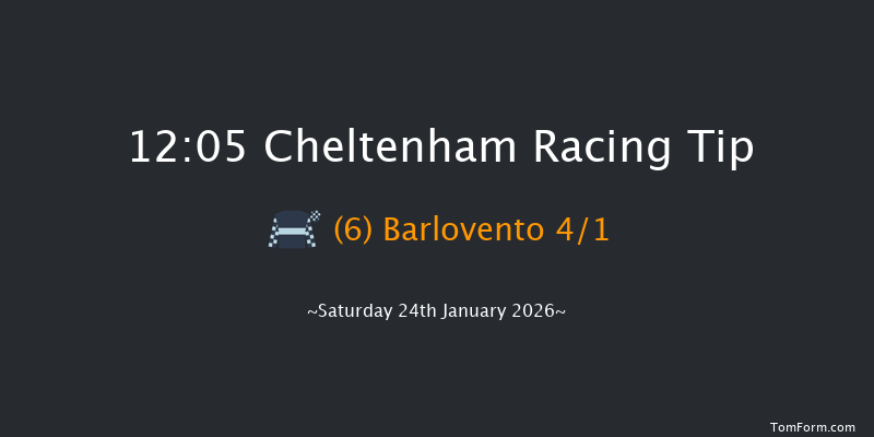 Cheltenham 12:05 (Class 2) 20f Thu 1st Jan 2026