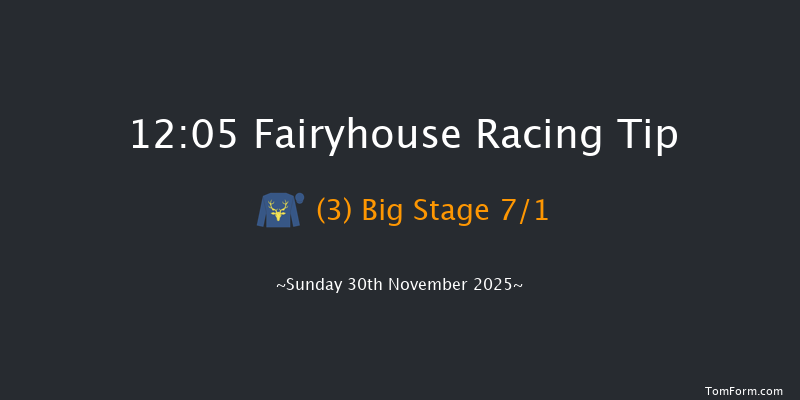 Fairyhouse 12:05 21f Sat 29th Nov 2025