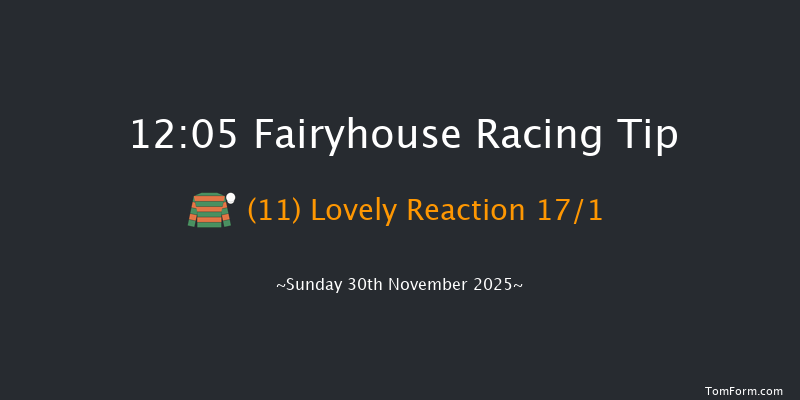 Fairyhouse 12:05 21f Sat 29th Nov 2025