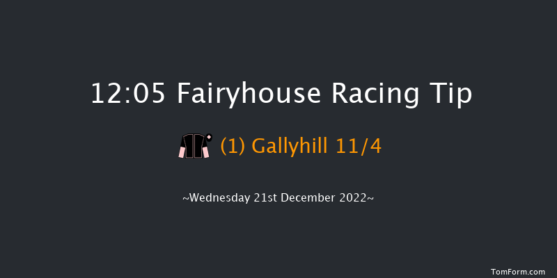 Fairyhouse 12:05 Handicap Chase 16f Sun 4th Dec 2022
