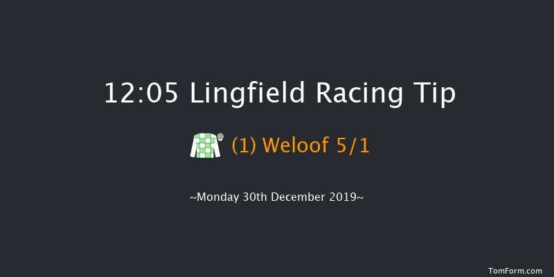 Lingfield 12:05 Handicap (Class 6) 8f Sat 28th Dec 2019