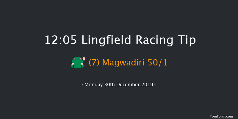 Lingfield 12:05 Handicap (Class 6) 8f Sat 28th Dec 2019