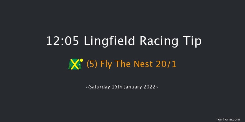 Lingfield 12:05 Handicap (Class 6) 8f Fri 14th Jan 2022