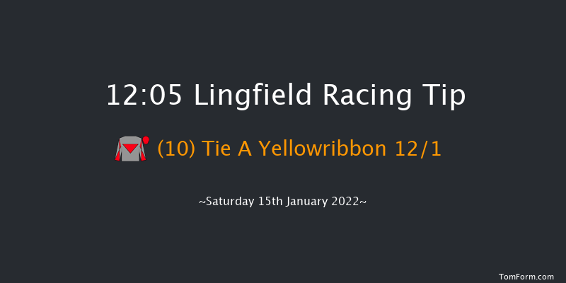 Lingfield 12:05 Handicap (Class 6) 8f Fri 14th Jan 2022