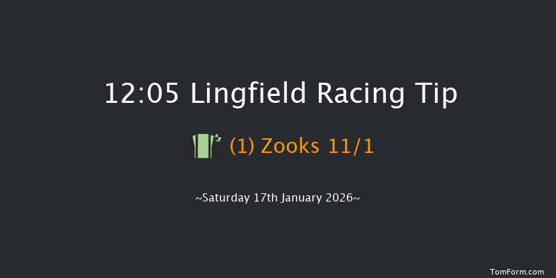 Lingfield 12:05 (Class 6) 15f Wed 14th Jan 2026