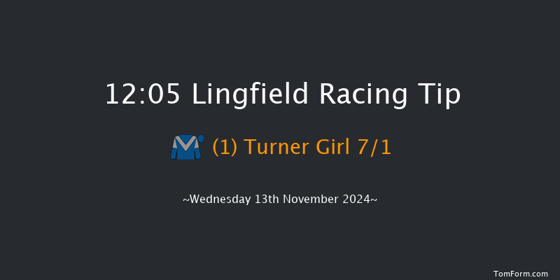 Lingfield  12:05 Handicap (Class 5) 12f Tue 12th Nov 2024
