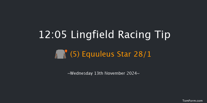 Lingfield  12:05 Handicap (Class 5) 12f Tue 12th Nov 2024