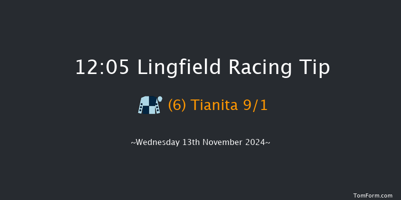 Lingfield  12:05 Handicap (Class 5) 12f Tue 12th Nov 2024