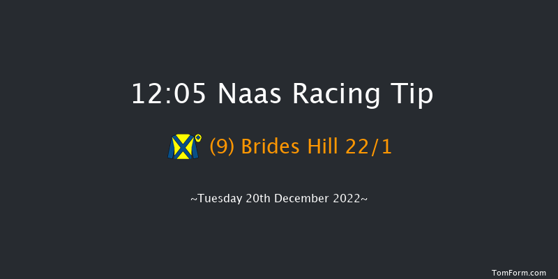 Naas 12:05 Maiden Chase 20f Sat 12th Nov 2022