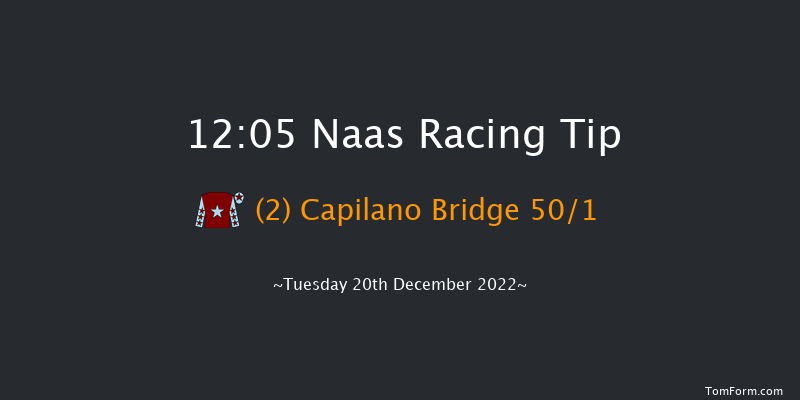 Naas 12:05 Maiden Chase 20f Sat 12th Nov 2022