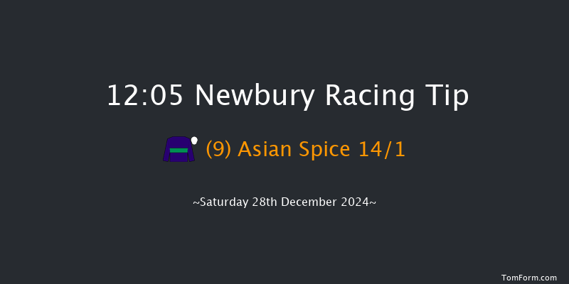 Newbury  12:05 Handicap Hurdle (Class 3) 16f Wed 18th Dec 2024