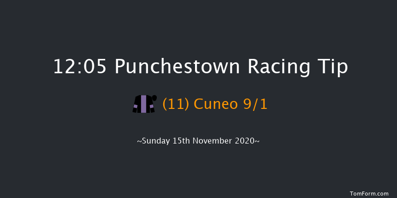 Ryans Cleaning Handicap Chase (0-140) Punchestown 12:05 Handicap Chase 23f Sat 14th Nov 2020
