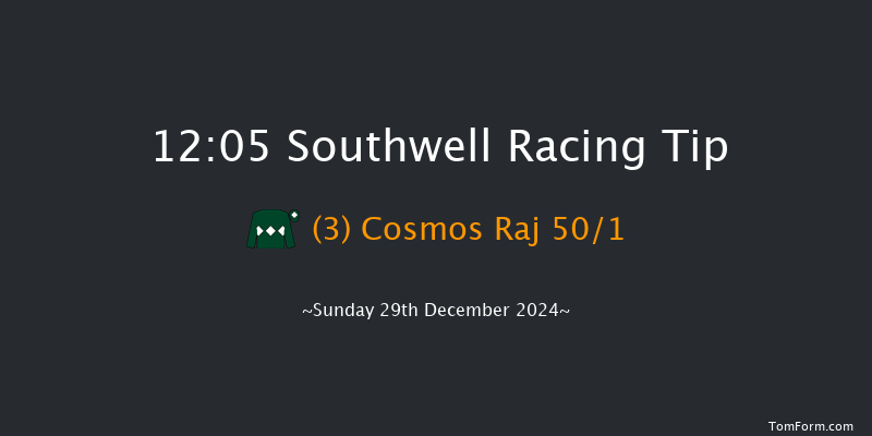 Southwell  12:05 Handicap (Class 4) 8f Sat 28th Dec 2024