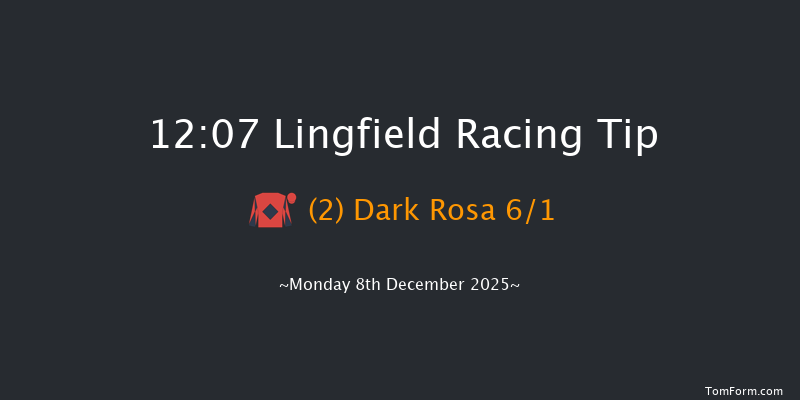 Lingfield 12:07 (Class 5) 8f Wed 3rd Dec 2025