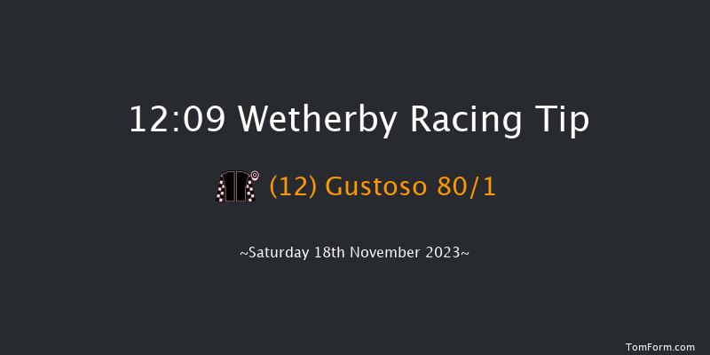 Wetherby 12:09 Maiden Hurdle (Class 3) 20f Sat 4th Nov 2023