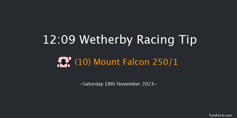 Wetherby 12:09 Maiden Hurdle (Class 3) 20f Sat 4th Nov 2023