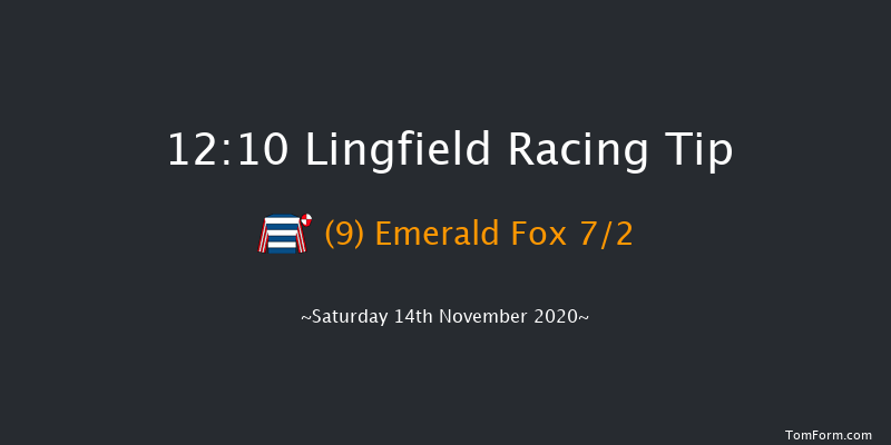 Bombardier 'March To Your Own Drum' Handicap (Div 2) Lingfield 12:10 Handicap (Class 6) 8f Tue 10th Nov 2020
