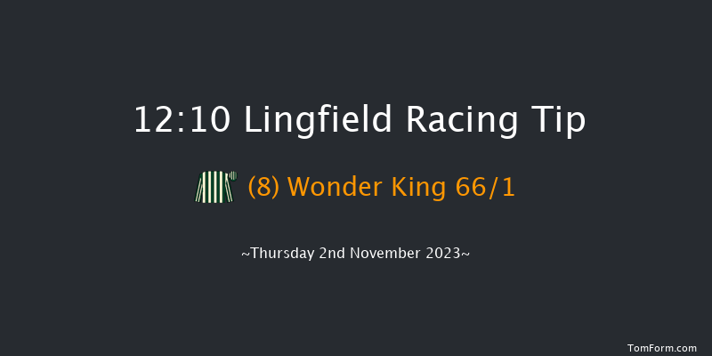 Lingfield 12:10 Stakes (Class 5) 16f Wed 1st Nov 2023