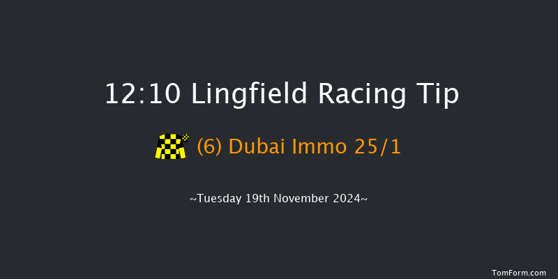Lingfield  12:10 Handicap (Class 6) 13f Wed 13th Nov 2024