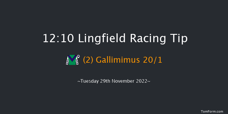 Lingfield 12:10 Maiden (Class 5) 8f Thu 24th Nov 2022