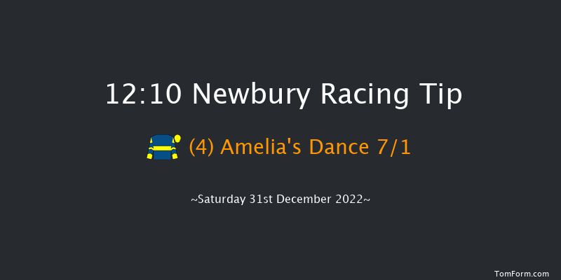 Newbury 12:10 Handicap Hurdle (Class 3) 16f Sat 26th Nov 2022