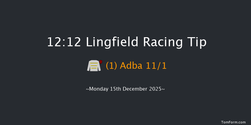 Lingfield 12:12 (Class 5) 8f Sat 13th Dec 2025