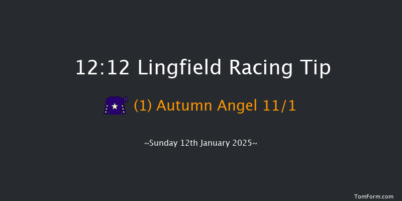 Lingfield  12:12 Stakes (Class 6) 7f Fri 10th Jan 2025