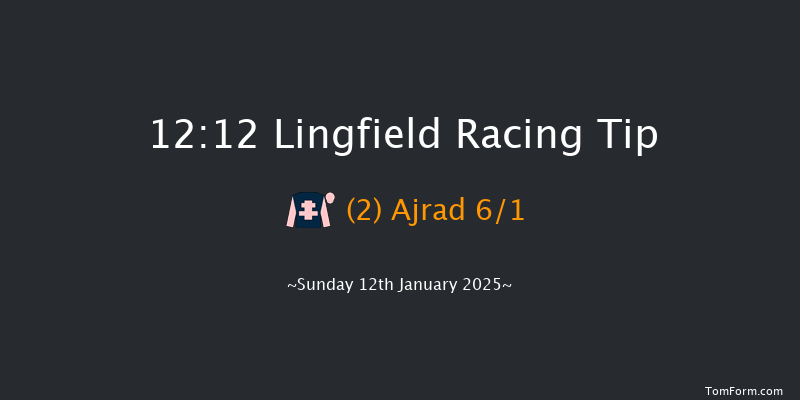 Lingfield  12:12 Stakes (Class 6) 7f Fri 10th Jan 2025