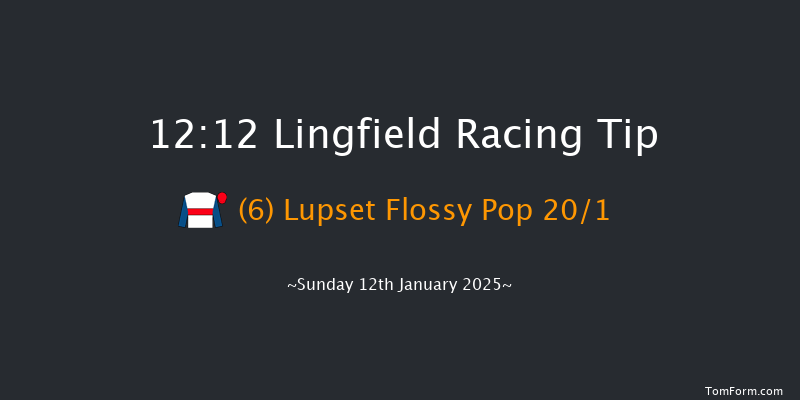Lingfield  12:12 Stakes (Class 6) 7f Fri 10th Jan 2025