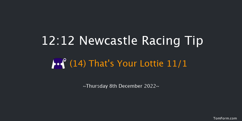 Newcastle 12:12 Handicap Hurdle (Class 5) 20f Fri 2nd Dec 2022