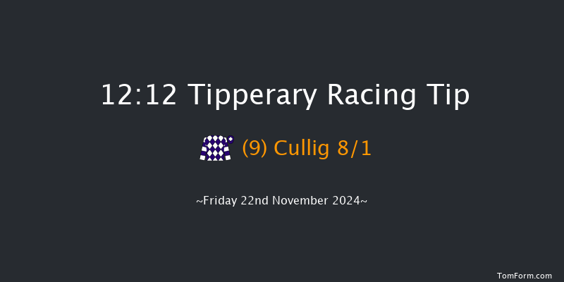 Tipperary  12:12 Maiden Hurdle 16f Sun 6th Oct 2024