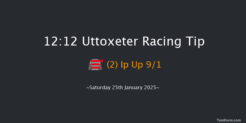 Uttoxeter  12:12 Handicap Chase (Class 3) 16f Tue 31st Dec 2024