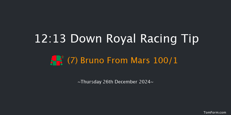 Down Royal  12:13 Maiden Hurdle 17f Sat 2nd Nov 2024