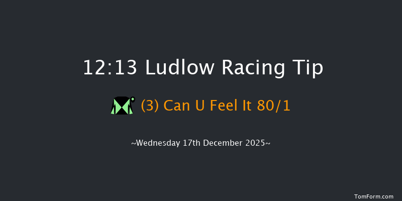 Ludlow 12:13 (Class 4) 15f Wed 3rd Dec 2025